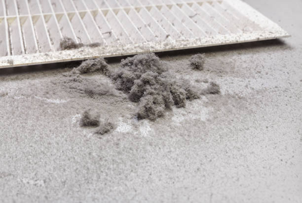 Best Dryer Vent Cleaning Services  in Beach, ND
