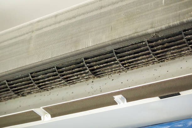 Best Air Duct Cleaning Near Me  in Beach, ND
